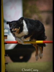 agility